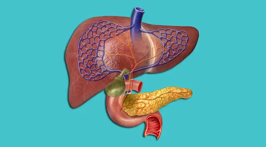 Hepatobiliary and Pancreatic Surgery