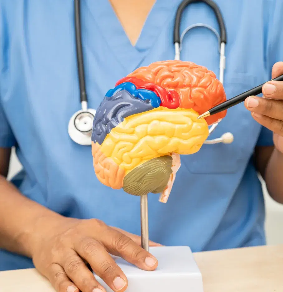 Neuro Gastroenterology