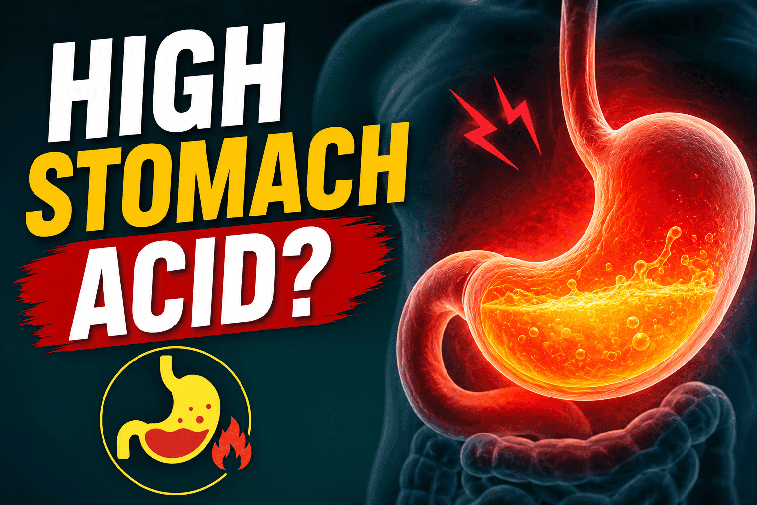 High Stomach Acid: Symptoms, Causes, and How to Lower It Naturally