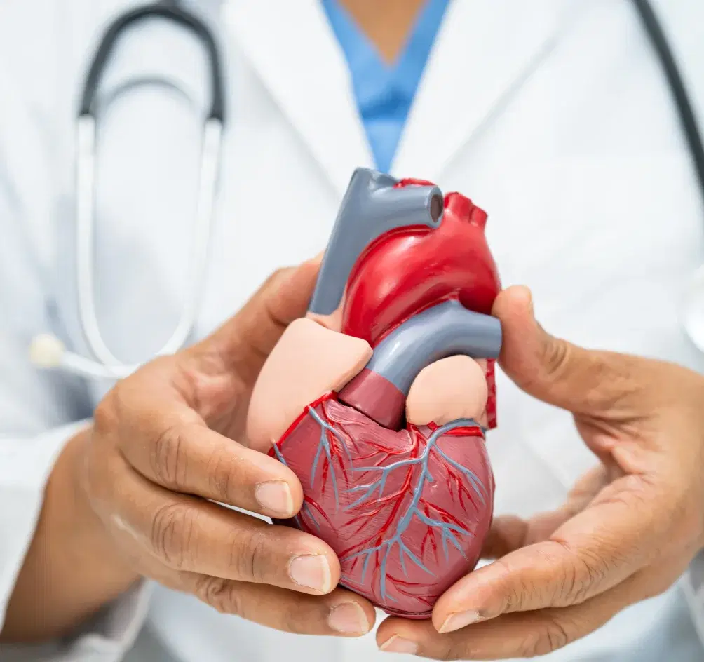 Cardiology