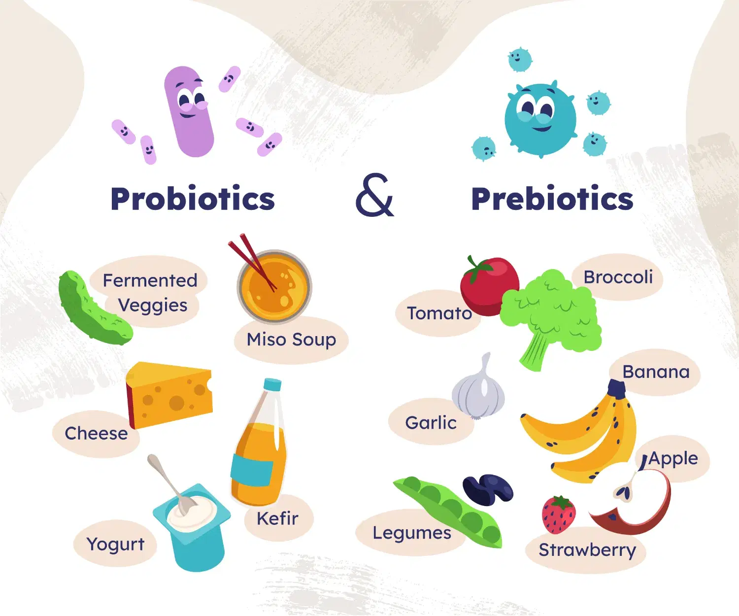 Probiotics vs Prebiotics: Complete Guide to Gut Health Benefits